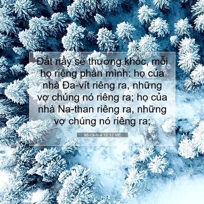 Picture 07 - Xê-ca-ri-a 12:12 VIE - Đất nầy sẽ thương khóc, mỗi họ - Bible Verse Picture