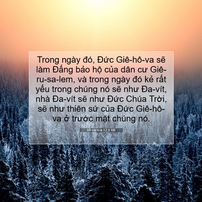 Picture 07 - Xê-ca-ri-a 12:8 VIE - Trong ngày đó, Đức Giê-hô-va sẽ làm - Bible Verse Picture