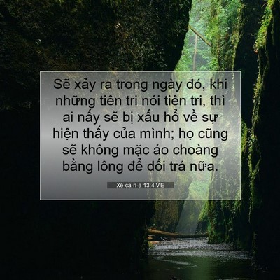 Picture 07 - Xê-ca-ri-a 13:4 VIE - Sẽ xảy ra trong ngày đó, khi những tiên - Bible Verse Picture