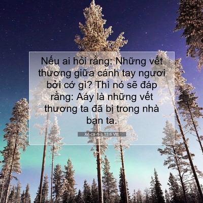 Picture 07 - Xê-ca-ri-a 13:6 VIE - Nếu ai hỏi rằng: Những vết thương - Bible Verse Picture