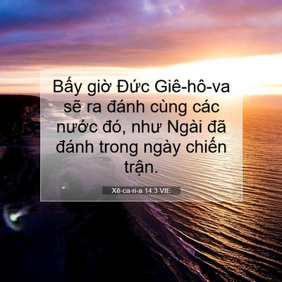 Picture 07 - Xê-ca-ri-a 14:3 VIE - Bấy giờ Đức Giê-hô-va sẽ ra đánh - Bible Verse Picture