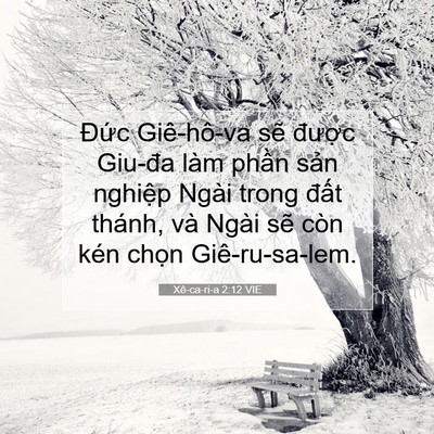 Picture 07 - Xê-ca-ri-a 2:12 VIE - Đức Giê-hô-va sẽ được Giu-đa làm - Bible Verse Picture