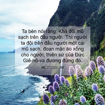Picture 07 - Xê-ca-ri-a 3:5 VIE - Ta bèn nói rằng: Khá đội mũ sạch trên - Bible Verse Picture