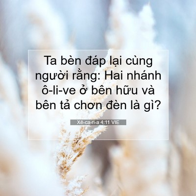 Picture 07 - Xê-ca-ri-a 4:11 VIE - Ta bèn đáp lại cùng người rằng: Hai - Bible Verse Picture