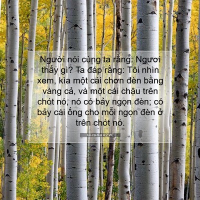 Picture 07 - Xê-ca-ri-a 4:2 VIE - Người nói cùng ta rằng: Ngươi thấy - Bible Verse Picture
