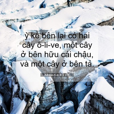 Picture 07 - Xê-ca-ri-a 4:3 VIE - ỳ kề bên lại có hai cây ô-li-ve, một - Bible Verse Picture