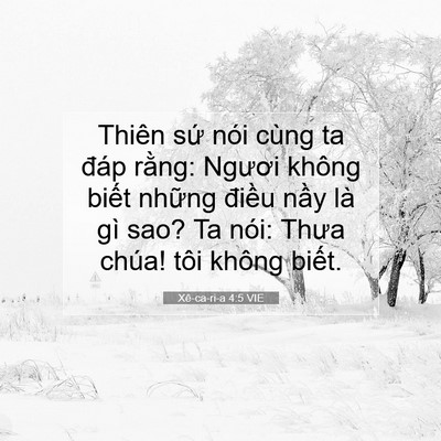Picture 07 - Xê-ca-ri-a 4:5 VIE - Thiên sứ nói cùng ta đáp rằng: Ngươi - Bible Verse Picture