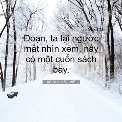 Picture 07 - Xê-ca-ri-a 5:1 VIE - Đoạn, ta lại ngước mắt nhìn xem, nầy - Bible Verse Picture