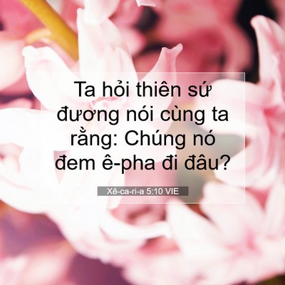 Picture 07 - Xê-ca-ri-a 5:10 VIE - Ta hỏi thiên sứ đương nói cùng ta - Bible Verse Picture
