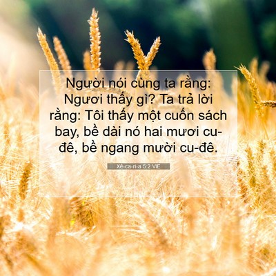 Picture 07 - Xê-ca-ri-a 5:2 VIE - Người nói cùng ta rằng: Ngươi thấy - Bible Verse Picture