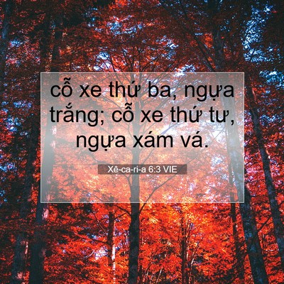 Picture 07 - Xê-ca-ri-a 6:3 VIE - cỗ xe thứ ba, ngựa trắng; cỗ xe thứ - Bible Verse Picture