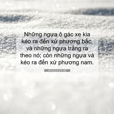 Picture 07 - Xê-ca-ri-a 6:6 VIE - Những ngựa ô gác xe kia kéo ra đến xứ - Bible Verse Picture