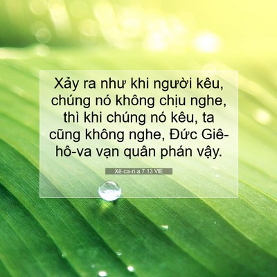 Picture 07 - Xê-ca-ri-a 7:13 VIE - Xảy ra như khi người kêu, chúng nó - Bible Verse Picture
