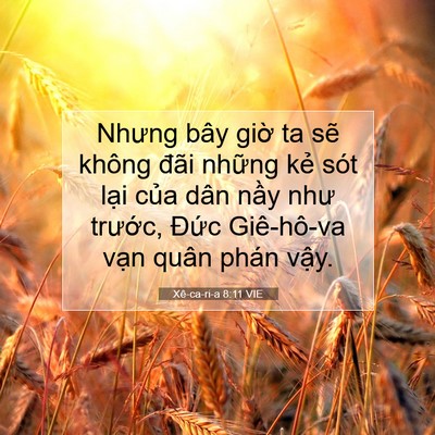 Picture 07 - Xê-ca-ri-a 8:11 VIE - Nhưng bây giờ ta sẽ không đãi những - Bible Verse Picture