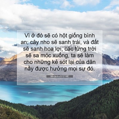 Picture 07 - Xê-ca-ri-a 8:12 VIE - Vì ở đó sẽ có hột giống bình an; - Bible Verse Picture
