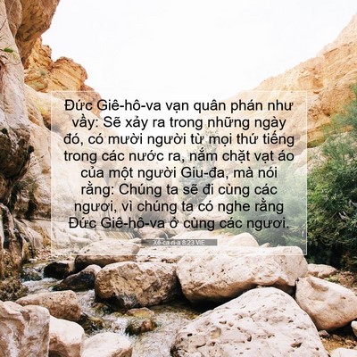 Picture 07 - Xê-ca-ri-a 8:23 VIE - Đức Giê-hô-va vạn quân phán như vầy: - Bible Verse Picture