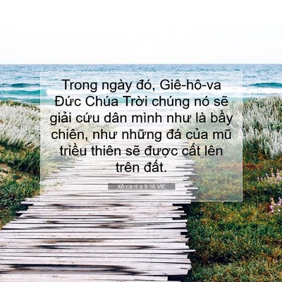 Picture 07 - Xê-ca-ri-a 9:16 VIE - Trong ngày đó, Giê-hô-va Đức Chúa Trời - Bible Verse Picture