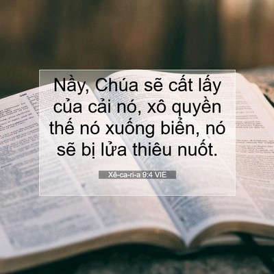 Picture 07 - Xê-ca-ri-a 9:4 VIE - Nầy, Chúa sẽ cất lấy của cải nó, - Bible Verse Picture