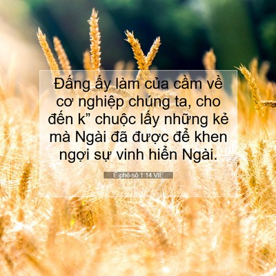 Picture 07 - Ê-phê-sô 1:14 VIE - Đấng ấy làm của cầm về cơ nghiệp - Bible Verse Picture