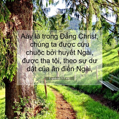 Picture 07 - Ê-phê-sô 1:7 VIE - Aáy là trong Đấng Christ, chúng ta được - Bible Verse Picture