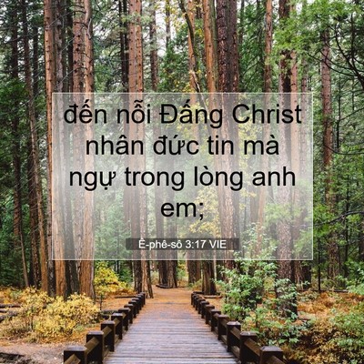 Picture 07 - Ê-phê-sô 3:17 VIE - đến nỗi Đấng Christ nhân đức tin mà - Bible Verse Picture