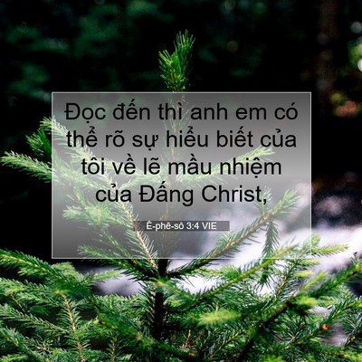 Picture 07 - Ê-phê-sô 3:4 VIE - Đọc đến thì anh em có thể rõ sự - Bible Verse Picture