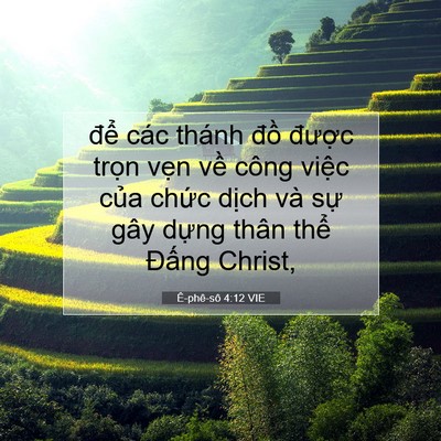 Picture 07 - Ê-phê-sô 4:12 VIE - để các thánh đồ được trọn vẹn - Bible Verse Picture