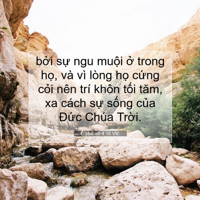 Picture 07 - Ê-phê-sô 4:18 VIE - bởi sự ngu muội ở trong họ, và vì - Bible Verse Picture