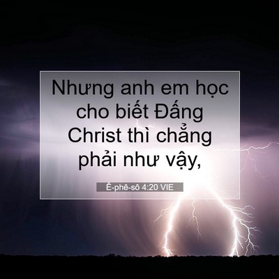 Picture 07 - Ê-phê-sô 4:20 VIE - Nhưng anh em học cho biết Đấng Christ - Bible Verse Picture