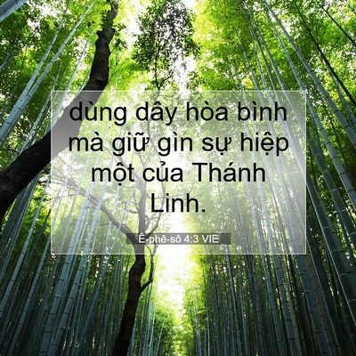 Picture 07 - Ê-phê-sô 4:3 VIE - dùng dây hòa bình mà giữ gìn sự hiệp - Bible Verse Picture