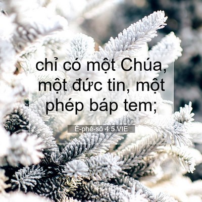 Picture 07 - Ê-phê-sô 4:5 VIE - chỉ có một Chúa, một đức tin, một - Bible Verse Picture