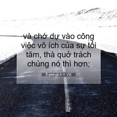 Picture 07 - Ê-phê-sô 5:11 VIE - và chớ dự vào công việc vô ích của - Bible Verse Picture