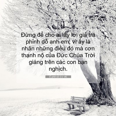 Picture 07 - Ê-phê-sô 5:6 VIE - Đừng để cho ai lấy lời giả trá - Bible Verse Picture