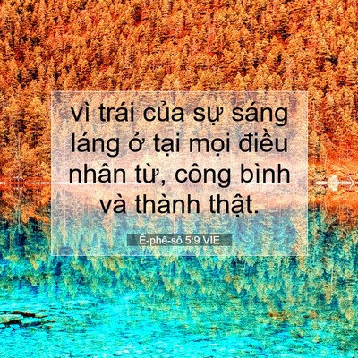 Picture 07 - Ê-phê-sô 5:9 VIE - vì trái của sự sáng láng ở tại mọi - Bible Verse Picture