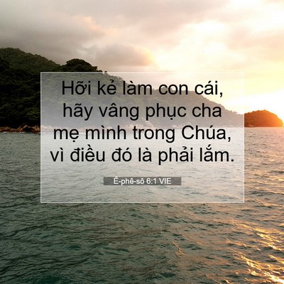 Picture 07 - Ê-phê-sô 6:1 VIE - Hỡi kẻ làm con cái, hãy vâng phục cha - Bible Verse Picture