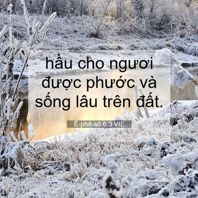 Picture 07 - Ê-phê-sô 6:3 VIE - hầu cho ngươi được phước và sống - Bible Verse Picture