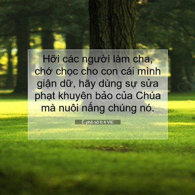 Picture 07 - Ê-phê-sô 6:4 VIE - Hỡi các người làm cha, chớ chọc cho - Bible Verse Picture