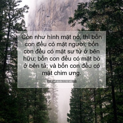 Picture 07 - Ê-xê-ki-ên 1:10 VIE - Còn như hình mặt nó, thì bốn con đều - Bible Verse Picture