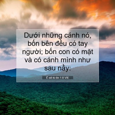 Picture 07 - Ê-xê-ki-ên 1:8 VIE - Dưới những cánh nó, bốn bên đều có - Bible Verse Picture