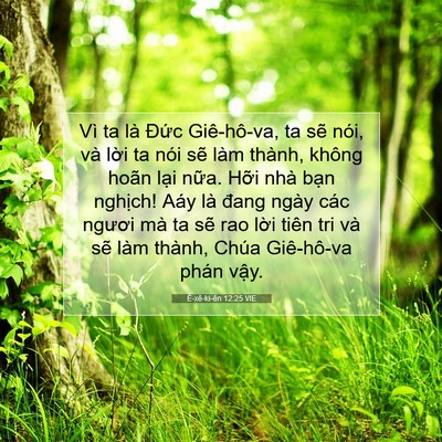 Picture 07 - Ê-xê-ki-ên 12:25 VIE - Vì ta là Đức Giê-hô-va, ta sẽ nói, và - Bible Verse Picture