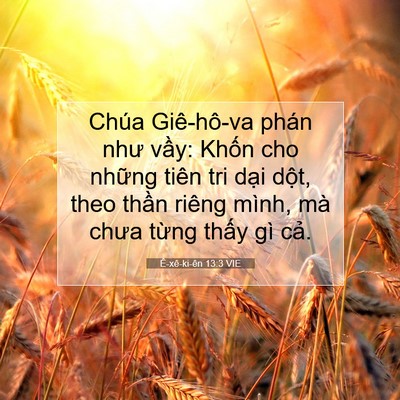 Picture 07 - Ê-xê-ki-ên 13:3 VIE - Chúa Giê-hô-va phán như vầy: Khốn cho - Bible Verse Picture