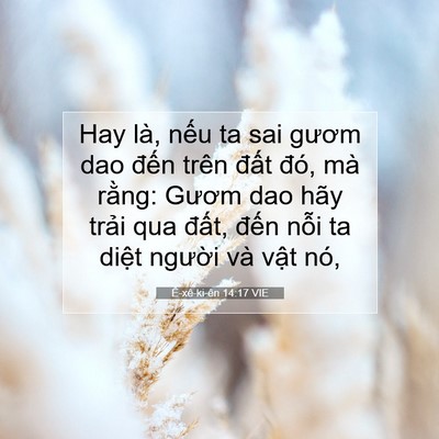 Picture 07 - Ê-xê-ki-ên 14:17 VIE - Hay là, nếu ta sai gươm dao đến trên - Bible Verse Picture