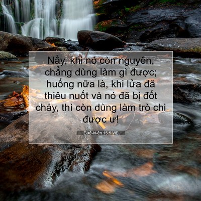 Picture 07 - Ê-xê-ki-ên 15:5 VIE - Nầy, khi nó còn nguyên, chẳng dùng làm - Bible Verse Picture