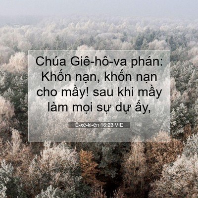 Picture 07 - Ê-xê-ki-ên 16:23 VIE - Chúa Giê-hô-va phán: Khốn nạn, khốn - Bible Verse Picture