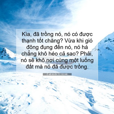 Picture 07 - Ê-xê-ki-ên 17:10 VIE - Kìa, đã trồng nó, nó có được thạnh - Bible Verse Picture