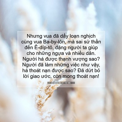 Picture 07 - Ê-xê-ki-ên 17:15 VIE - Nhưng vua đã dấy loạn nghịch cùng vua - Bible Verse Picture