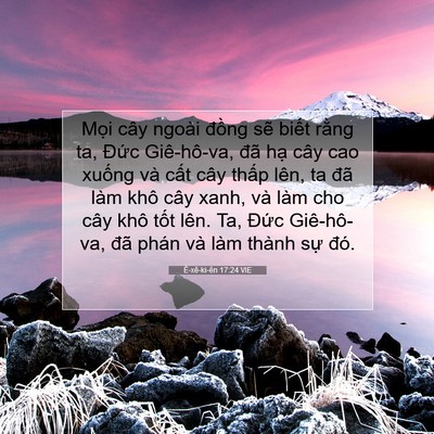 Picture 07 - Ê-xê-ki-ên 17:24 VIE - Mọi cây ngoài đồng sẽ biết rằng ta, - Bible Verse Picture