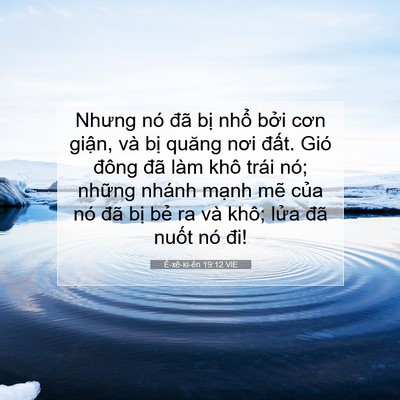 Picture 07 - Ê-xê-ki-ên 19:12 VIE - Nhưng nó đã bị nhổ bởi cơn giận, và - Bible Verse Picture