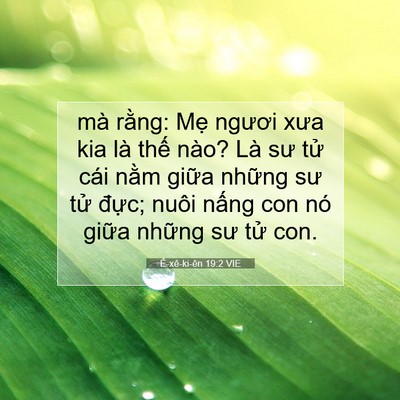 Picture 07 - Ê-xê-ki-ên 19:2 VIE - mà rằng: Mẹ ngươi xưa kia là thế nào? - Bible Verse Picture