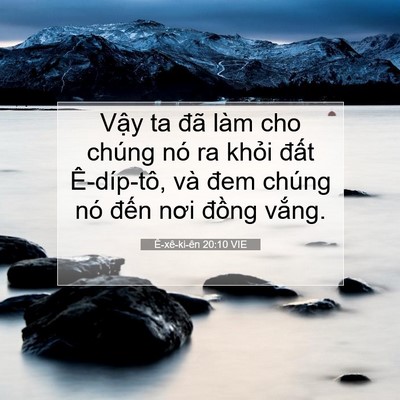 Picture 07 - Ê-xê-ki-ên 20:10 VIE - Vậy ta đã làm cho chúng nó ra khỏi - Bible Verse Picture